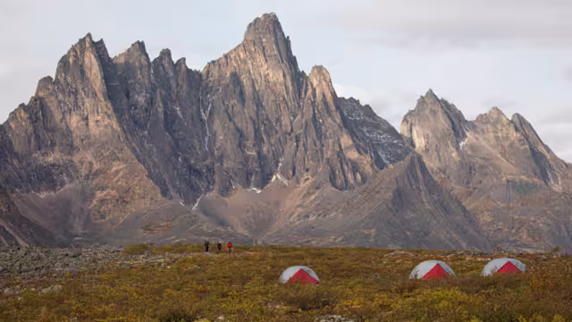 Tombstone Park Trek